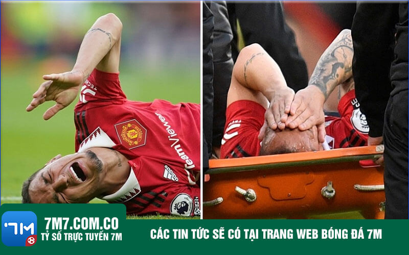Các tin tức sẽ có tại trang web bóng đá 7M