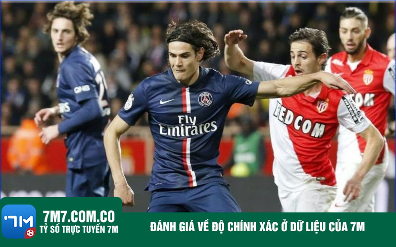 Danh gia ve do chinh xac o du lieu cua 7m Đánh giá về độ chính xác ở dữ liệu của 7m
