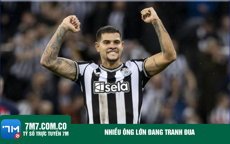 Nhieu ong lon dang tranh dua Nhiều ông lớn đang tranh đua