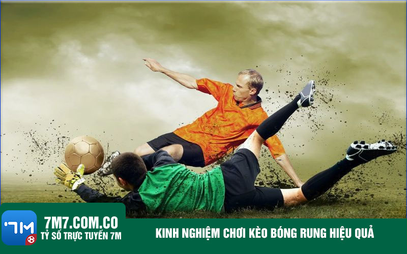 Kinh nghiem choi keo bong rung hieu qua Kinh nghiệm chơi kèo bóng rung hiệu quả